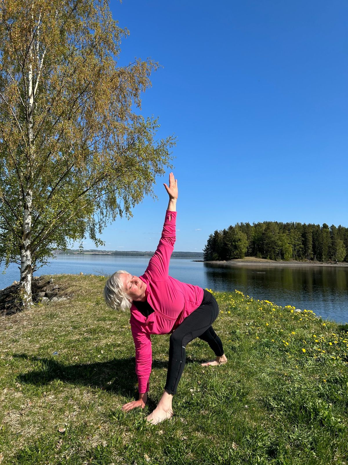 Go\u2019morgen-yoga: kickstart dagen med yoga\/tibetanske riter for bedre form, energi og mental klarhet