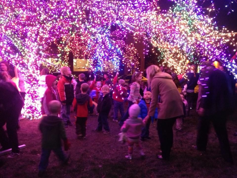 Magic Tree Lighting