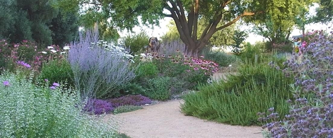 Welcoming Pollinators Into Your Garden