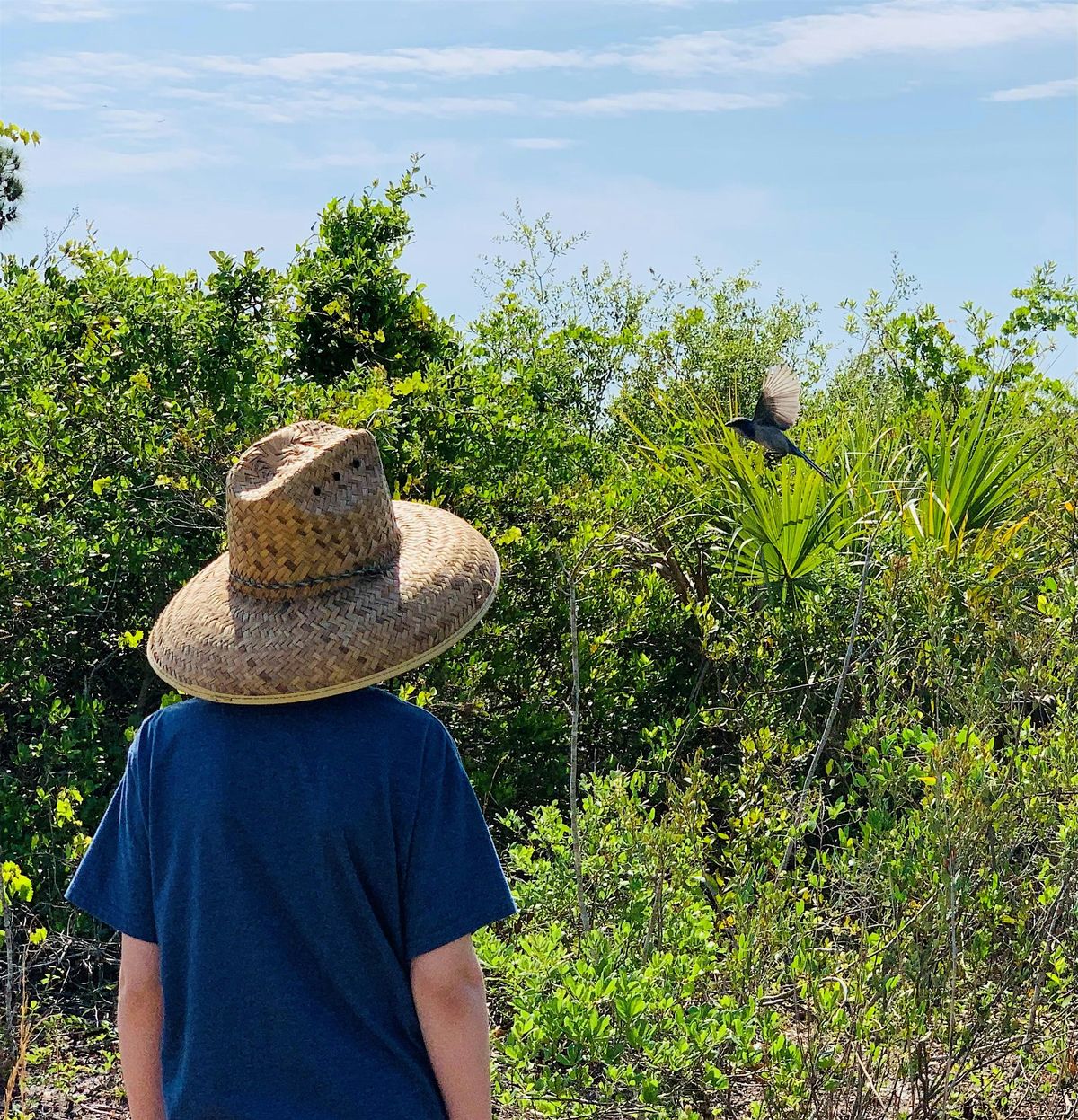 Guided Hike at Cruickshank Sanctuary