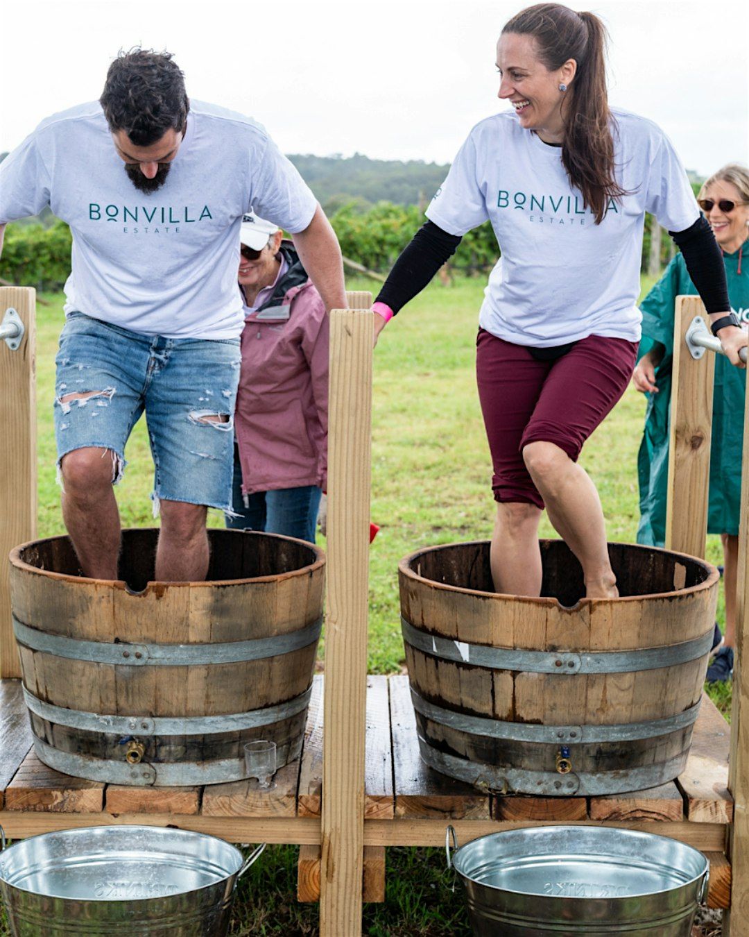 Les Vendanges at Bonvilla Estate