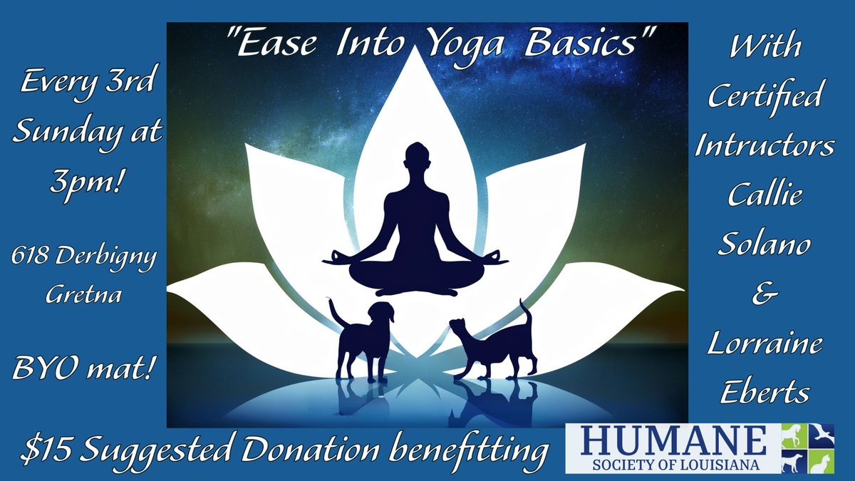 Ease into Yoga Basics