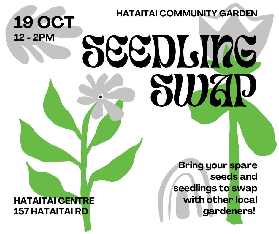 Hataitai Community Garden Seedling Swap