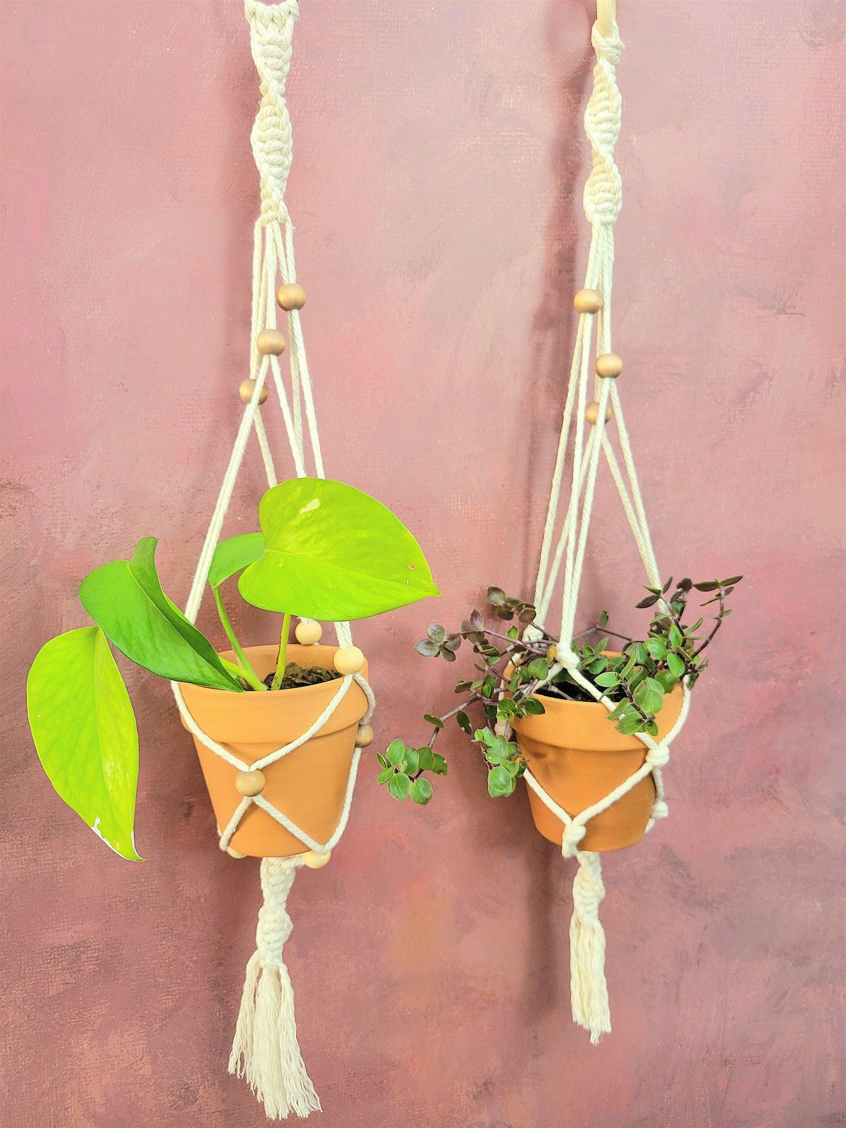 Macram\u00e9 Plant Hangers: Craft Workshop