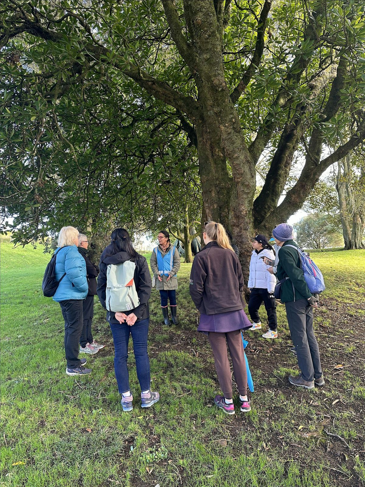 Guided Walk: Walking Meditation