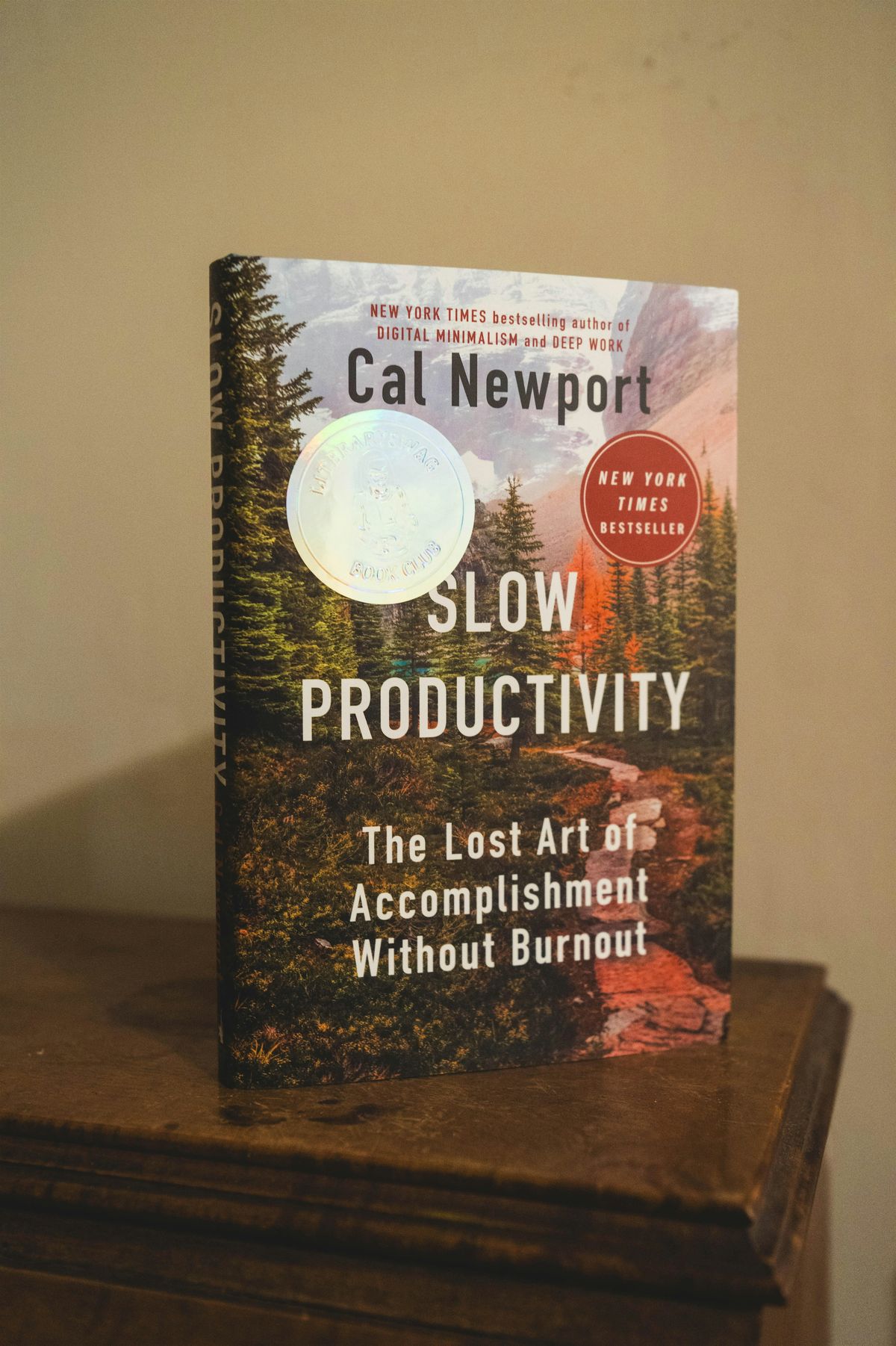 Literaryswag Book Club Presents: Slow Productivity by Cal Newport