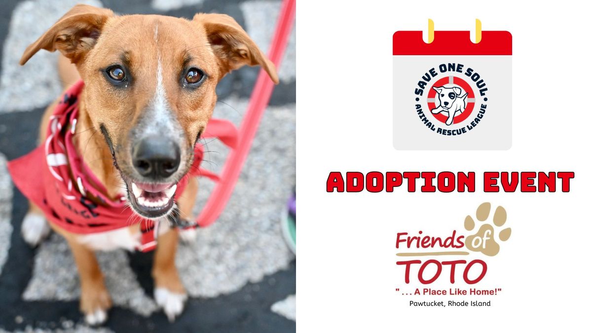 Adoption Event @ Friends of Toto