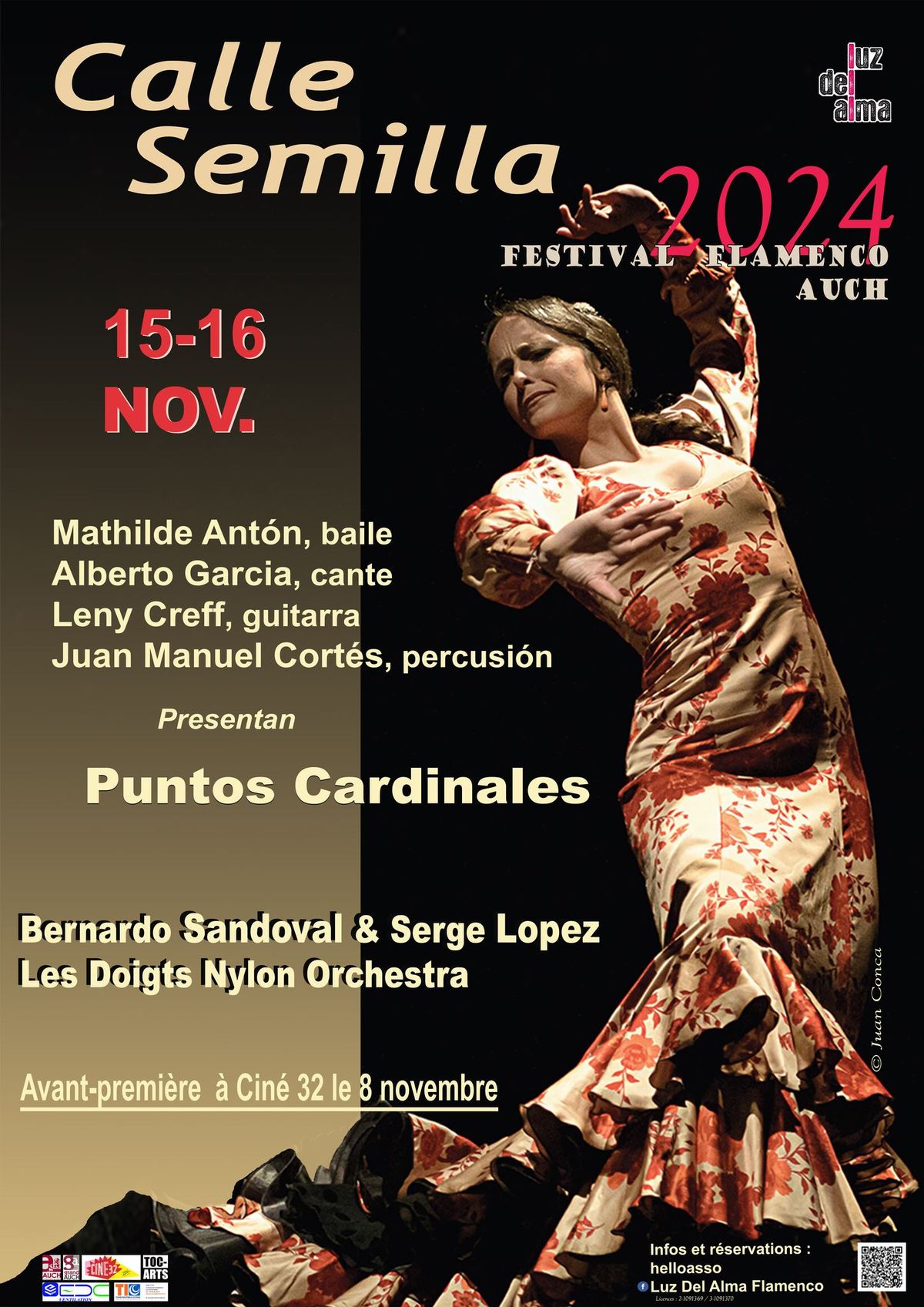 Festival Flamenco "Calle Semilla" AUCH (32)