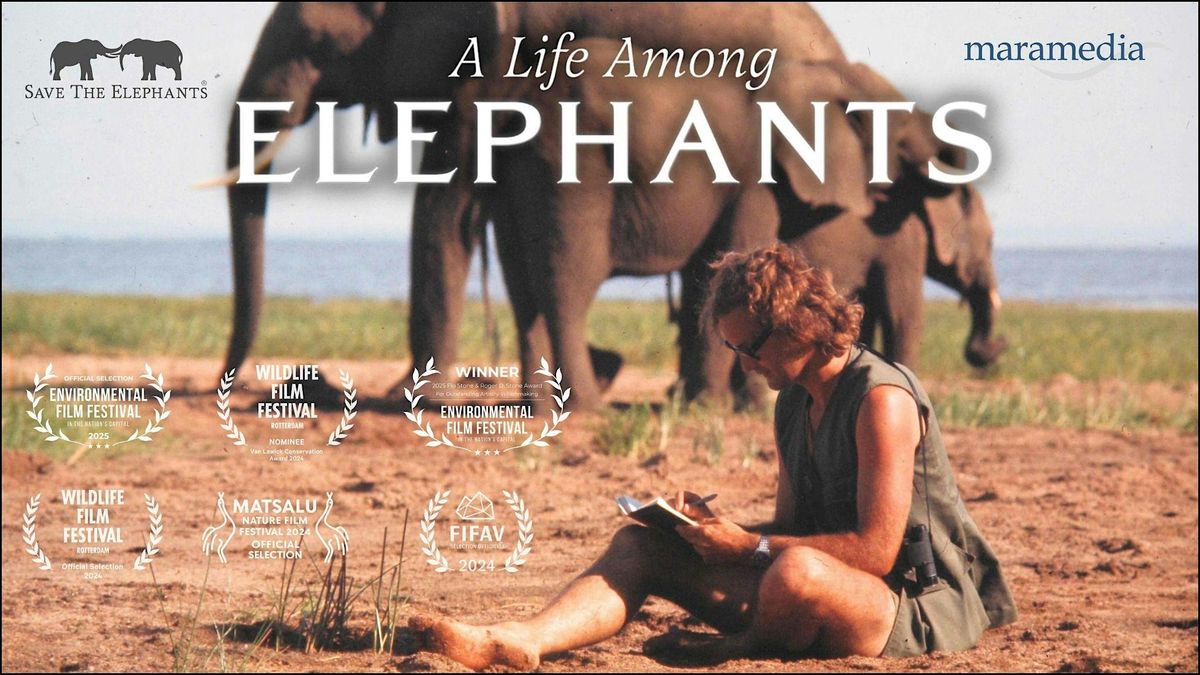 A Life Among Elephants in Los Angeles
