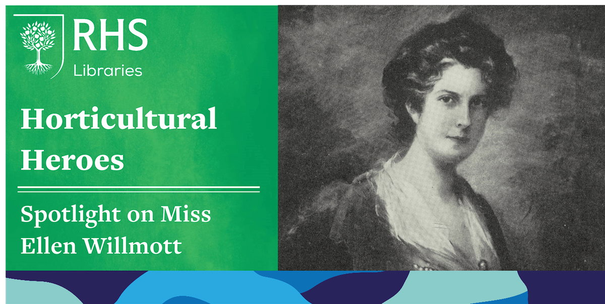 Lindley Late - Horticultural Heroes: Spotlight on Miss Ellen Willmott