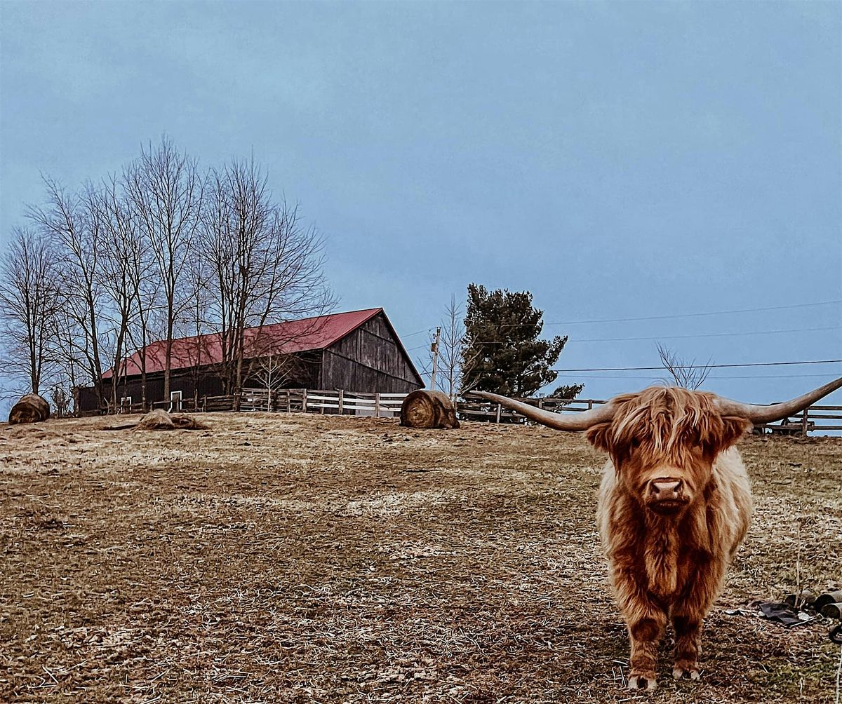 Highland Holidays: Cards, Cows & Color Watercolor Workshop