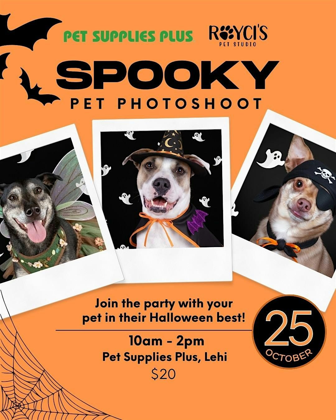 Halloween Pet Photoshoot with Royci's Pet Studio