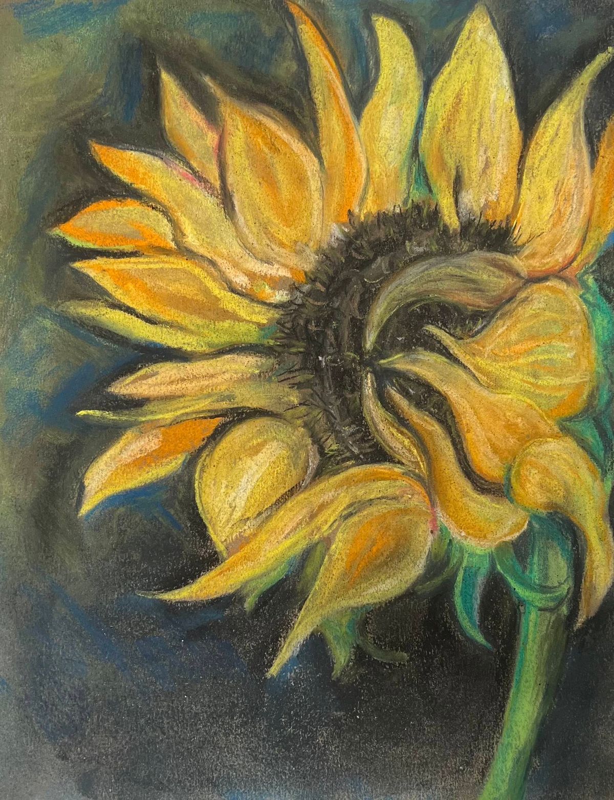 Chalk Pastel Sunflower