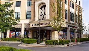 Next Level Networking Event