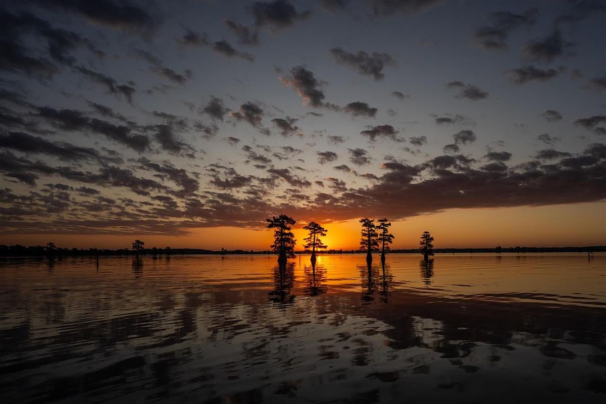 Caddo Lake: Destinations by Fort Worth Camera