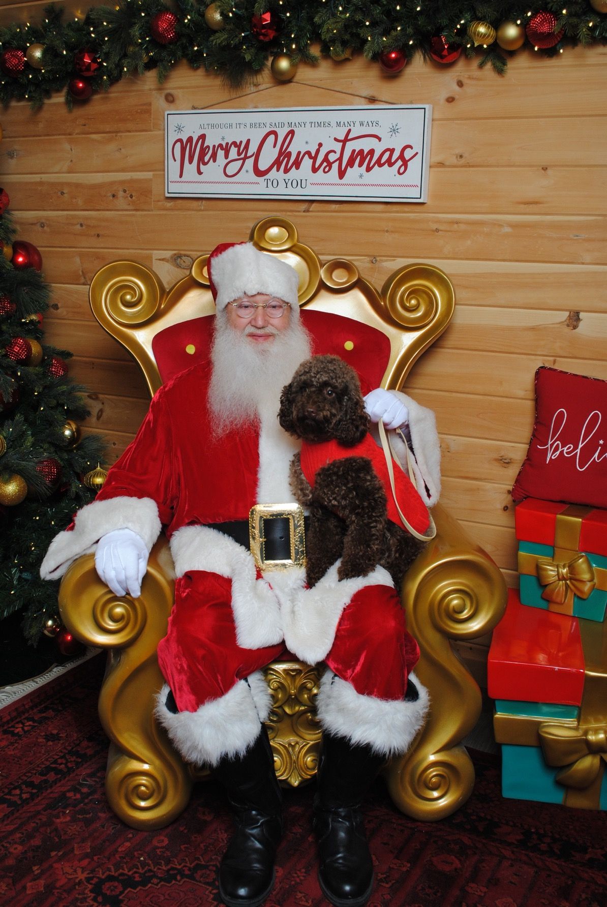 Santa Pet Photos