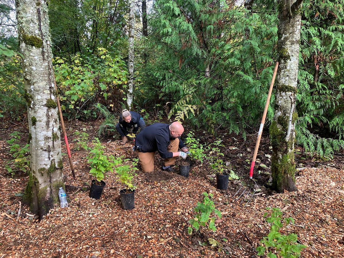 Native Planting at Tualatin Riverkeepers Office