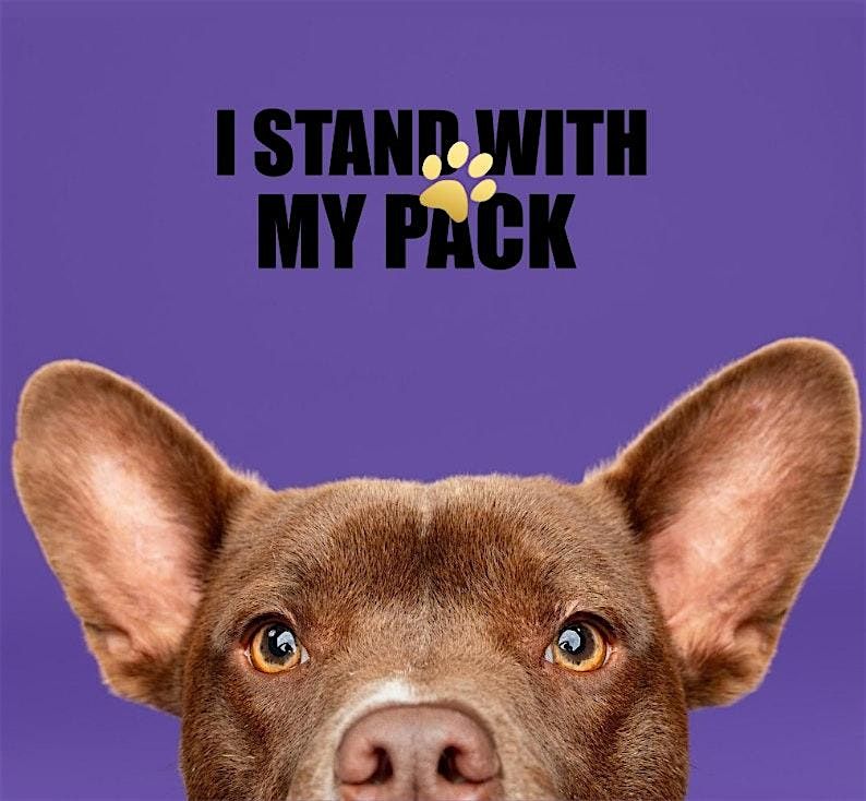 Support Animal Rescue with a Inner Ember Fitness Class at Unplug!
