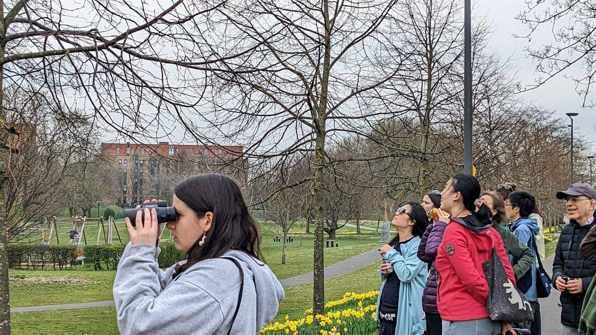 BioBlitz - Bird Walk