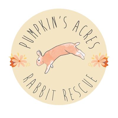 Pumpkin's Acres Rabbit Rescue