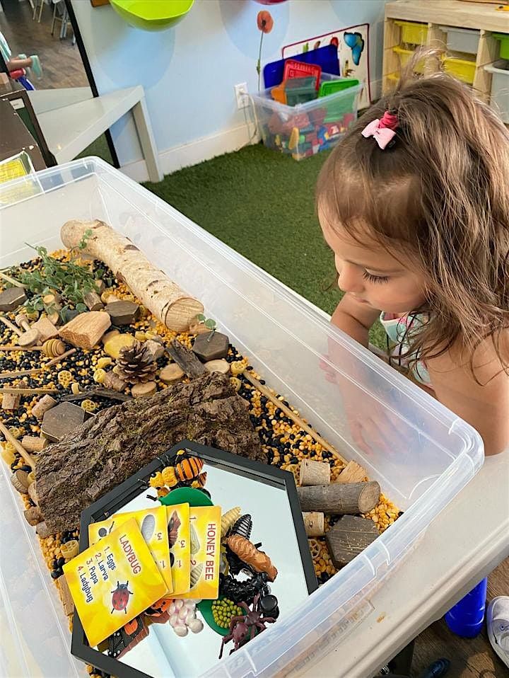 Preschool Field Trip to Honeybee Centre