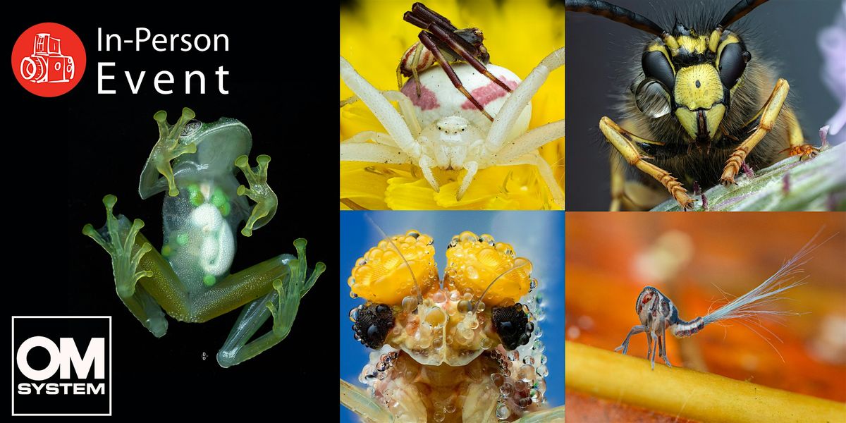 Beyond the Naked Eye: Mastering Macro Photography