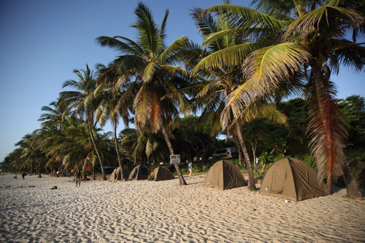 4 DAYS DIANI BEACH | SHIMBA HILLS & WASINI ISLAND CAMPING TOUR