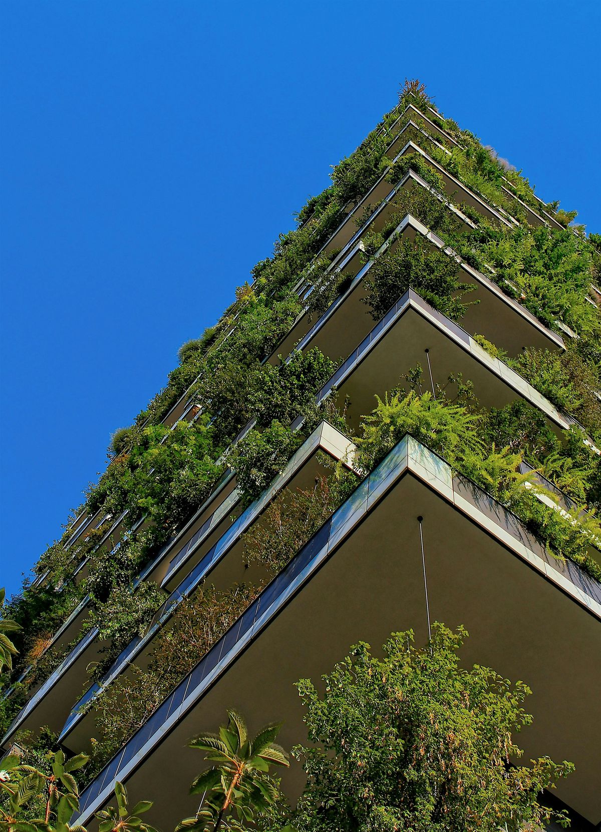 Designing workplaces for the future