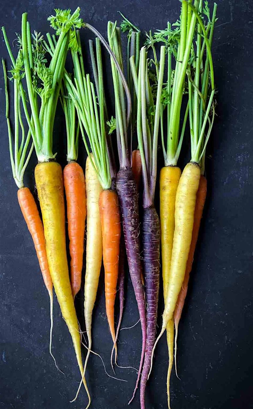 Harvest Feast: An Indigenous Culinary Experience