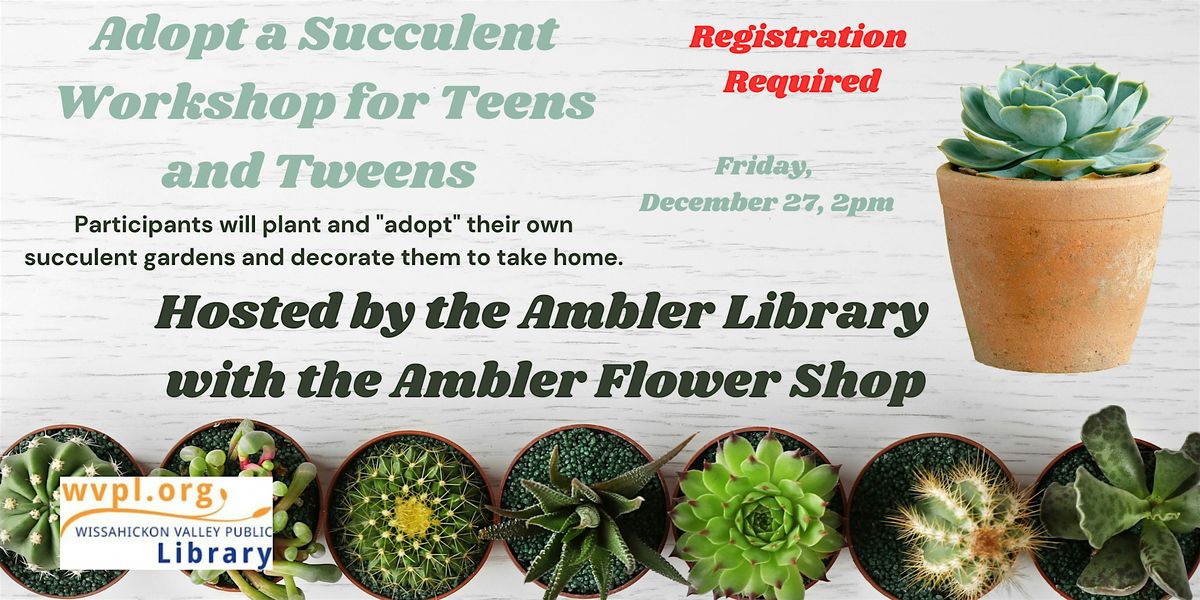 Calling teens and tweens, make a succulent garden!