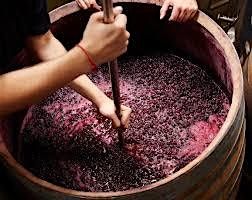 From Vine to Wine:  How Wine is Made