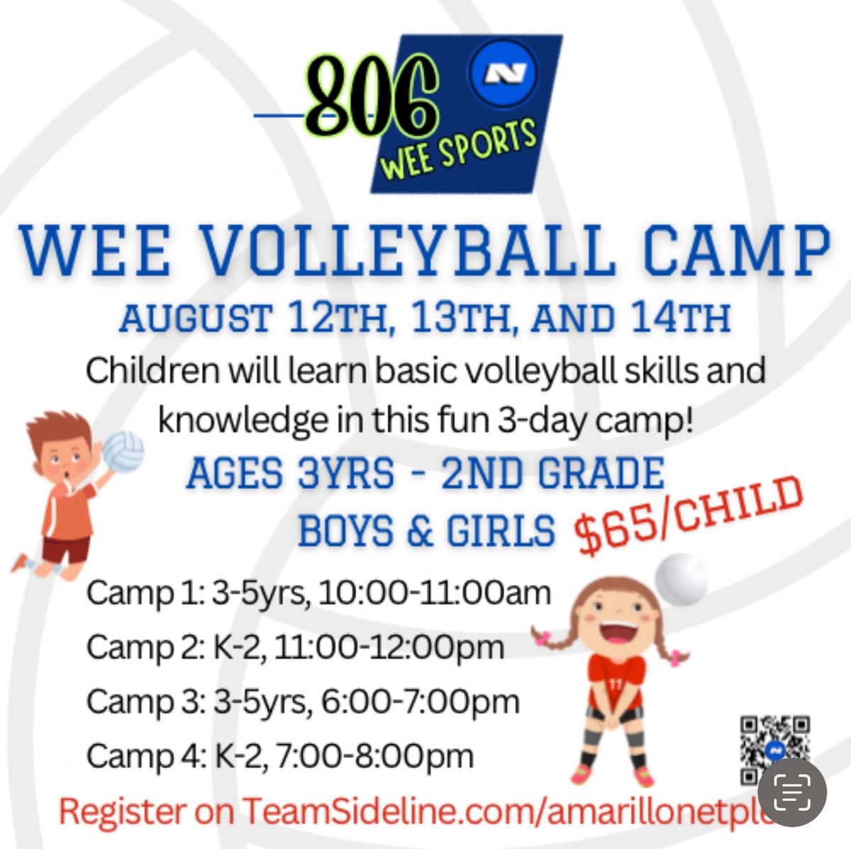 Wee Volleyball Camp