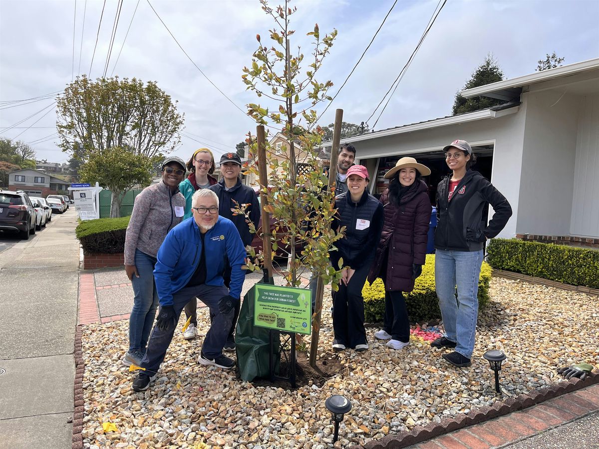 Community Tree Planting
