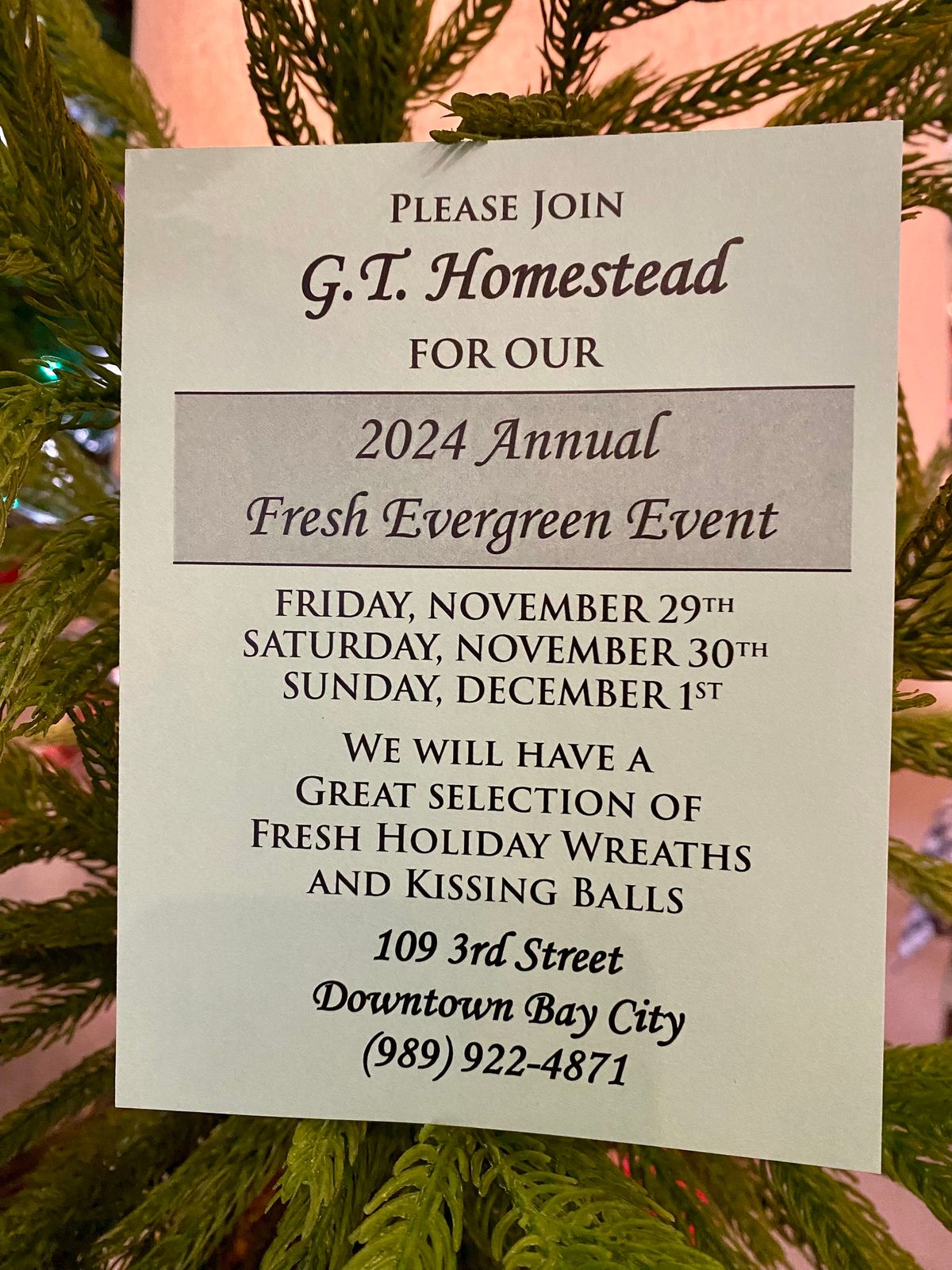 Fresh Evergreen Event