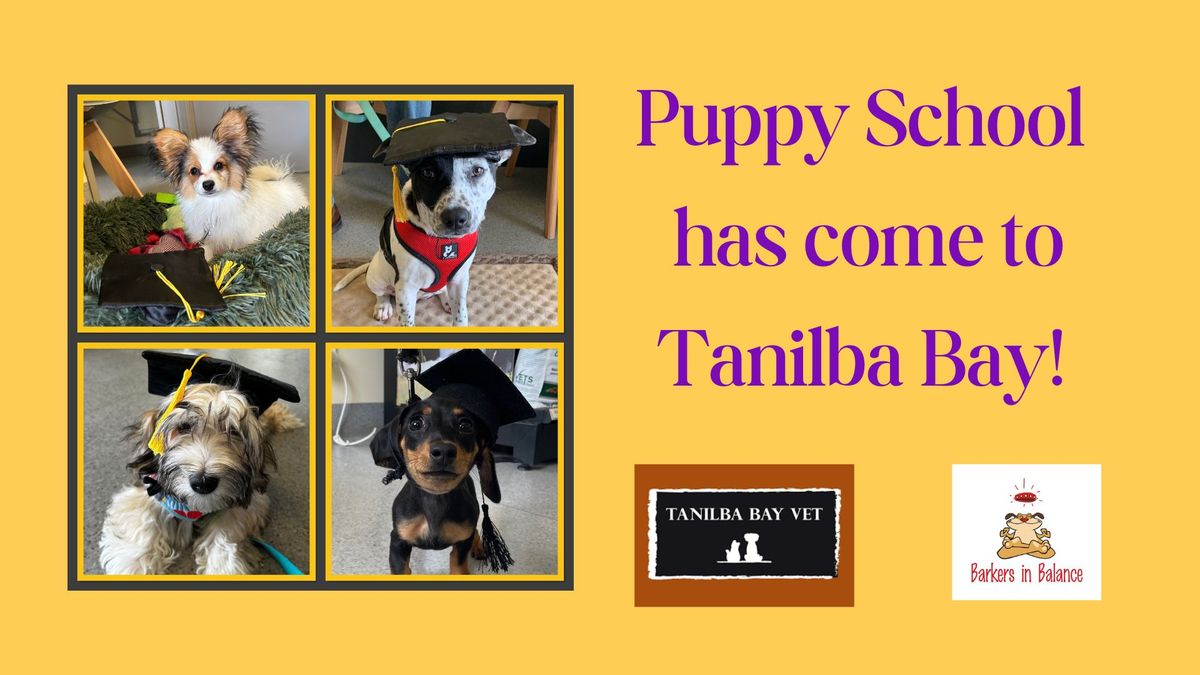 Tanilba Bay Puppy Class