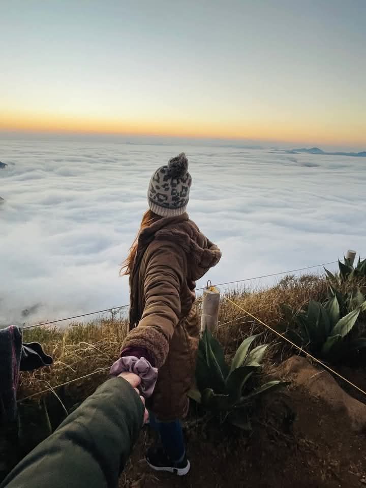 Viaje sobre las Nubes Sierra Gorda 