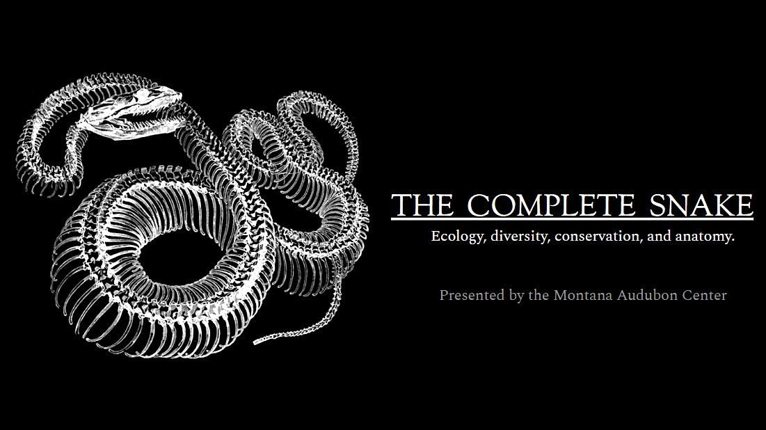 The Complete Snake: Ecology, Diversity, Conservation, and Anatomy