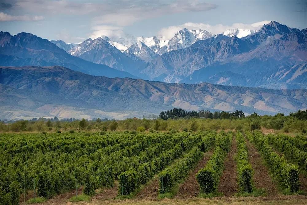 World of Wine Tasting: Argentina