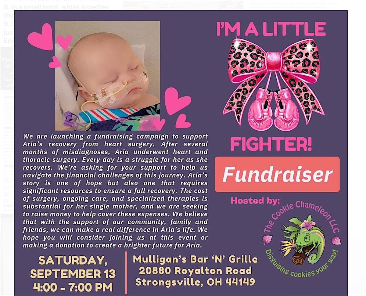 I\u2019m A Little Fighter