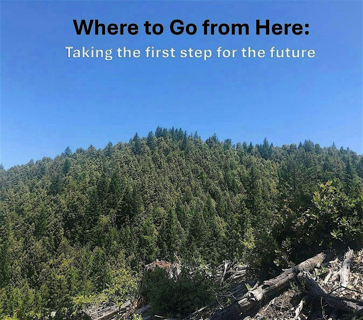 46th Annual Forest Vegetation Management Conference- Where to Go from Here