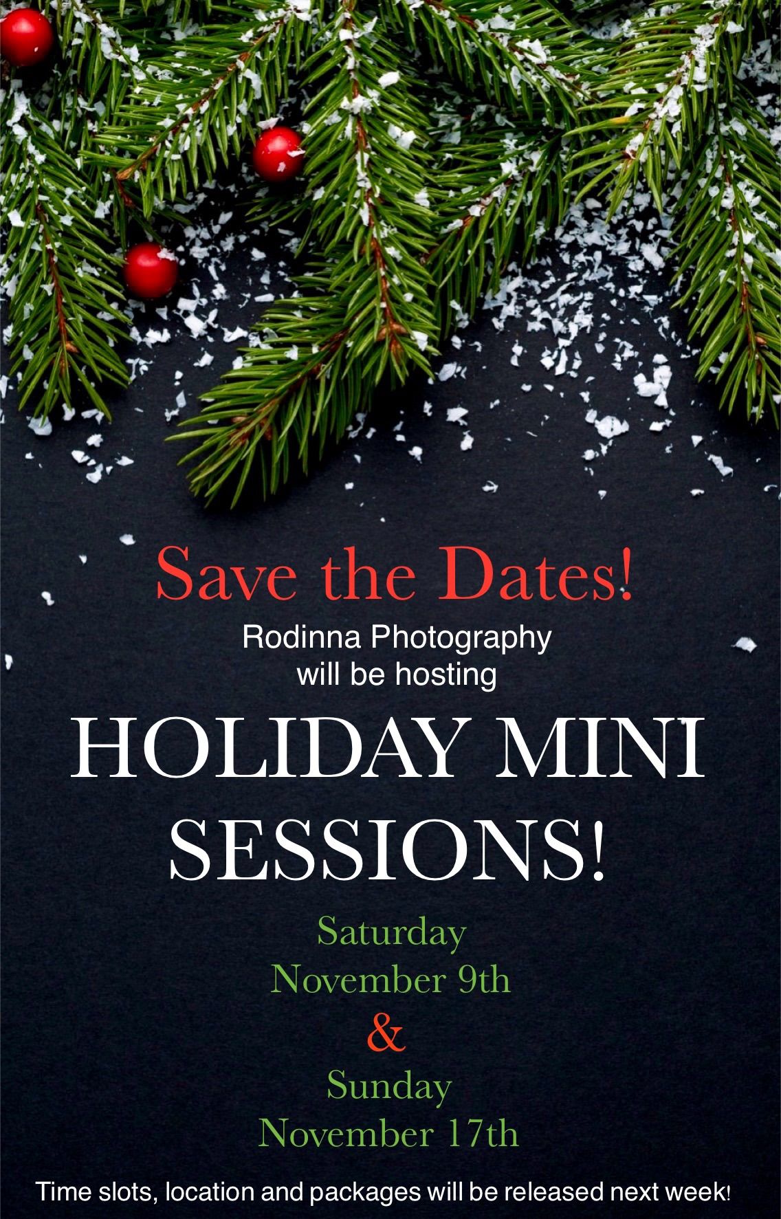 Holiday Mini Sessions 