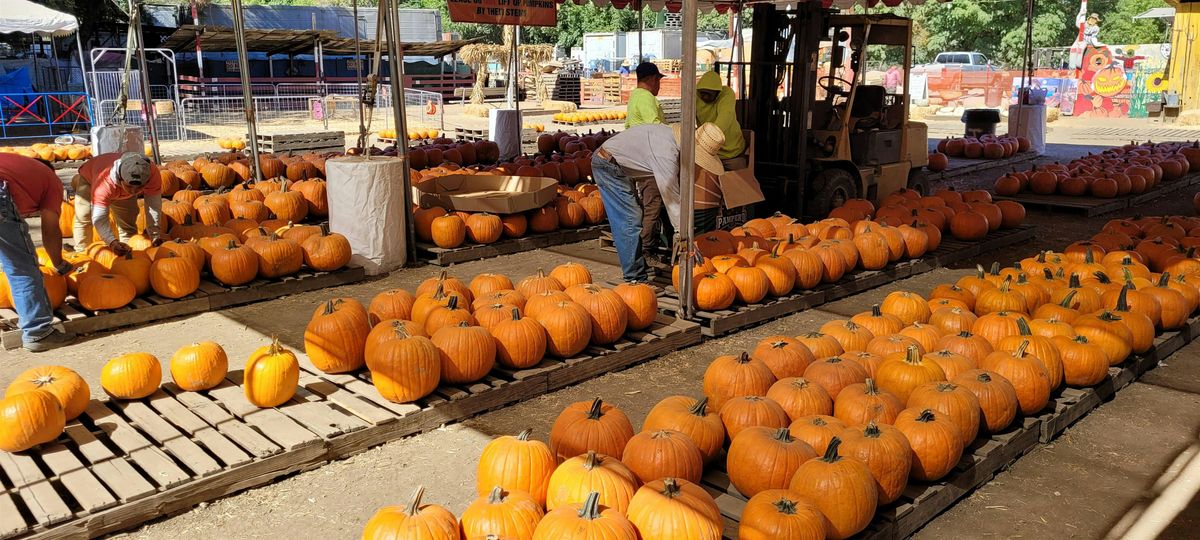Los Angeles Chapter - Paint\/Sculpt-Out at Tapia Bros. Pumpkin Patch
