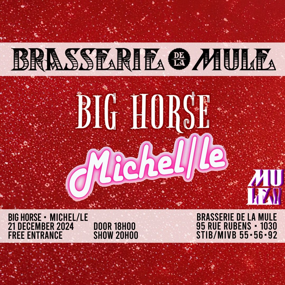 Last Night before XMAS \u2022 Big Horse \u2022 Michel\/le \u2022 21\/12 \u2022 La Mule