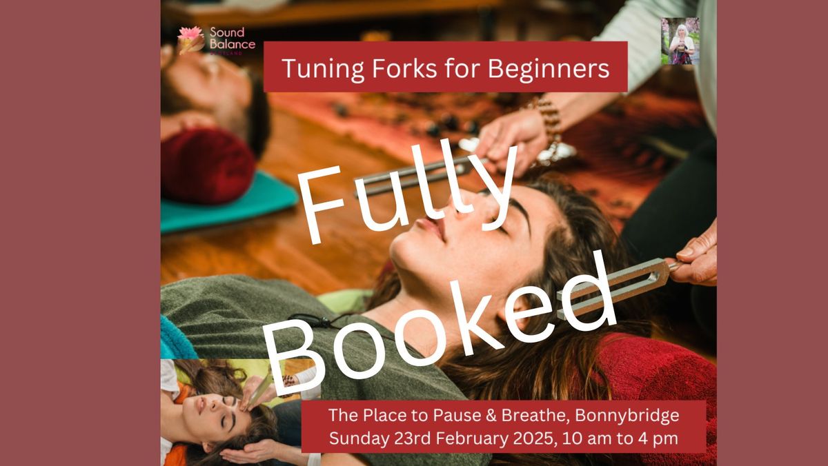 Tuning Forks for Beginners