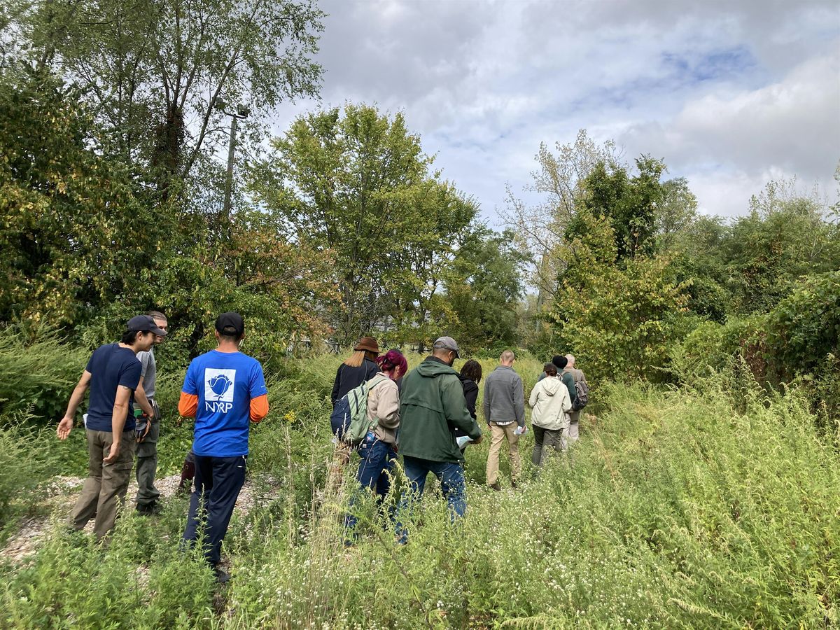 Alley Pond Park Super Steward: Pathkeeper Training