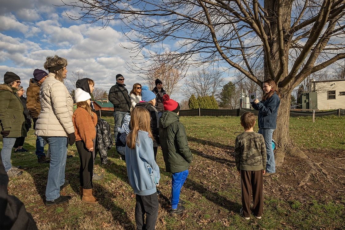 Maple Sugaring Day