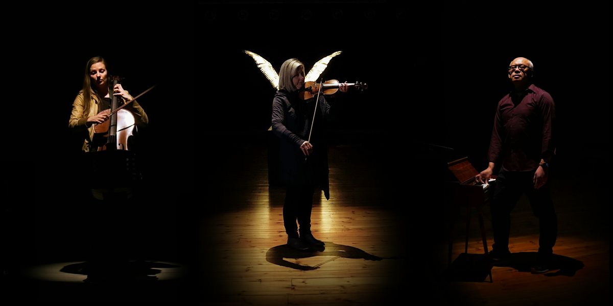 Three Spotlights on Mortal Reflections:  Suzanne Turner