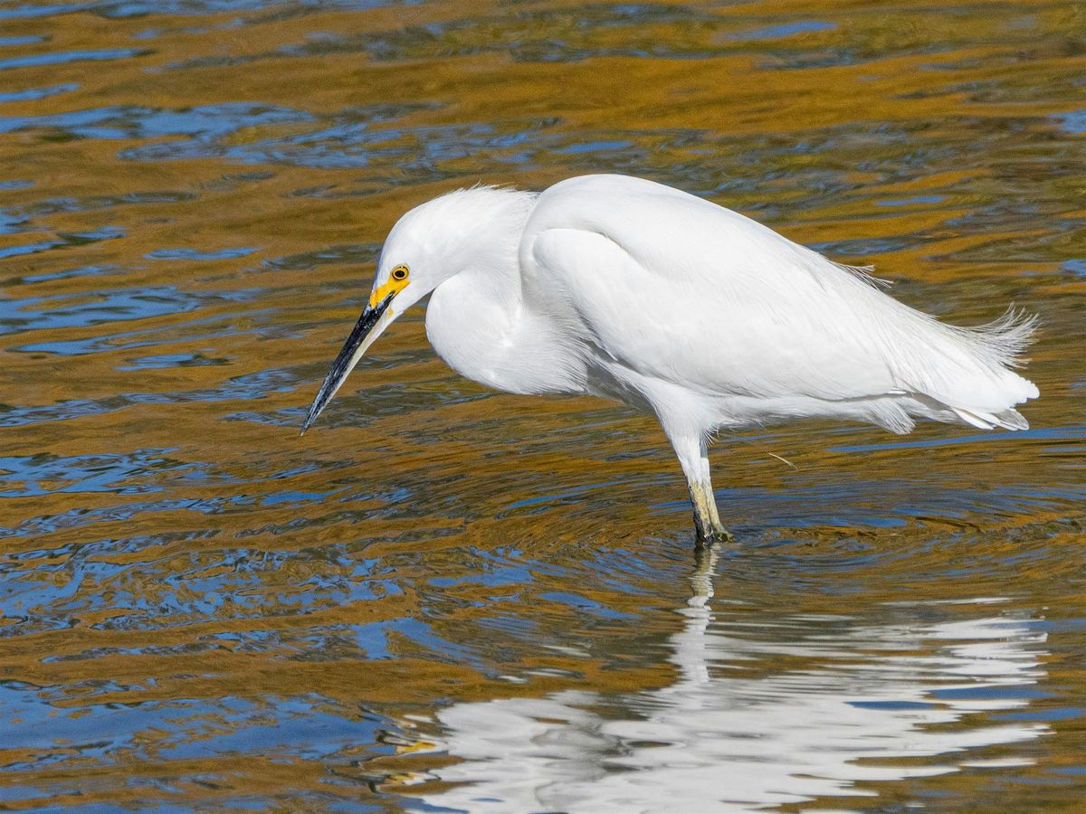 Hellyer County Park BioBlitz