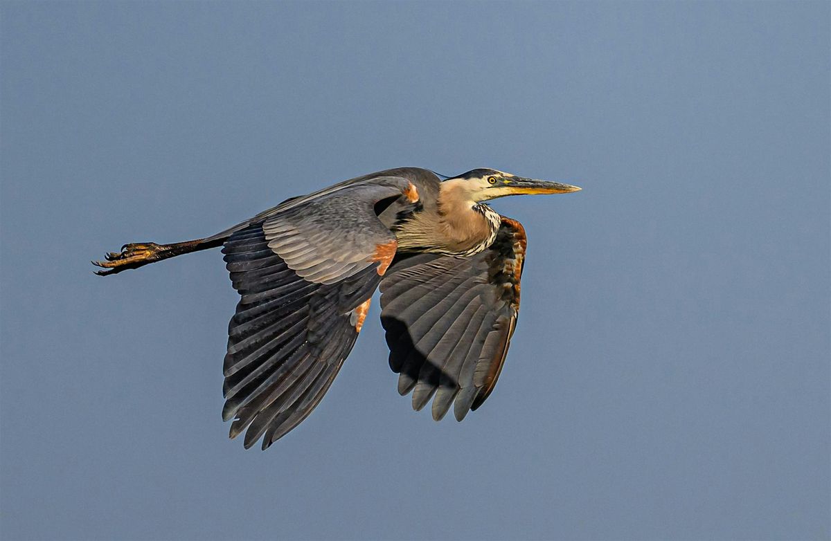 Birding the Boise River - Diane Moore Nature Center