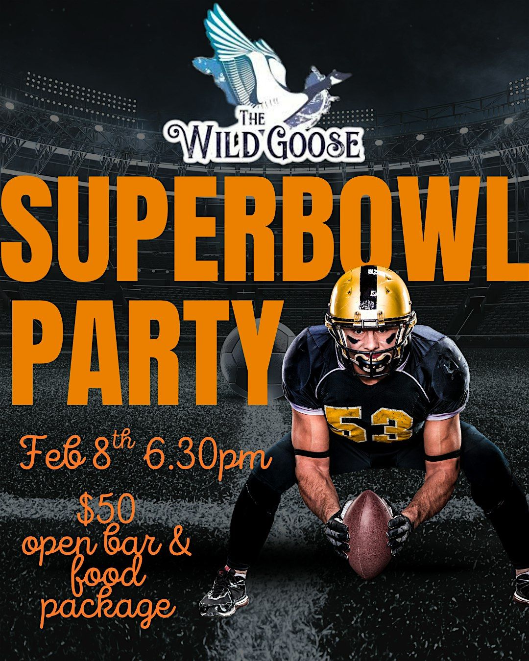 Wild Goose SuperBowl watch party!